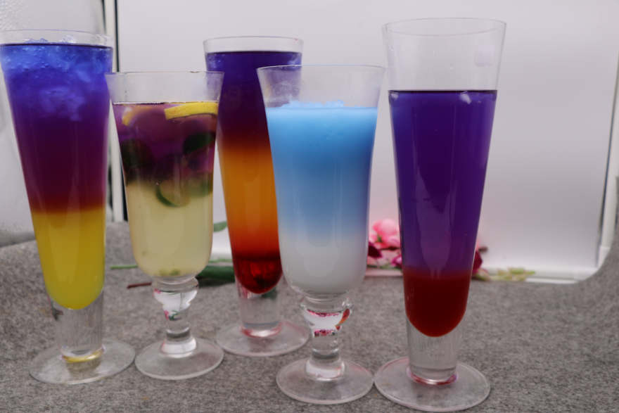 杭州泰国蝶豆花培训